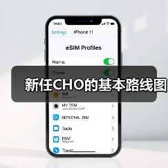 新任CHO的基本路线图(图1) 新任CHO的基本路线图(图1)