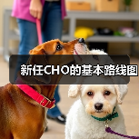 新任CHO的基本路线图(图4) 新任CHO的基本路线图(图4)