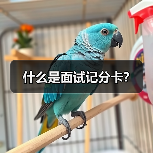 什么是面试记分卡?(图2) 什么是面试记分卡?(图2)