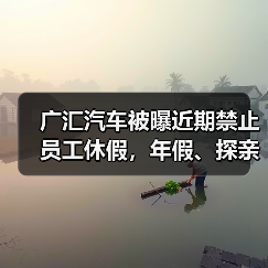 广汇汽车被曝近期禁止员工休假,年假、探亲假、事假均不批(图1) 广汇汽车被曝近期禁止员工休假,年假、探亲假、事假均不批(图1)