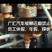 广汇汽车被曝近期禁止员工休假,年假、探亲假、事假均不批(图2) 广汇汽车被曝近期禁止员工休假,年假、探亲假、事假均不批(图2)