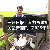 三茅日报丨人力资源相关最新简讯(2025年1月9日)(图1) 三茅日报丨人力资源相关最新简讯(2025年1月9日)(图1)