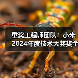 重奖工程师团队!小米2024年度技术大奖奖金升至千万(图2) 重奖工程师团队!小米2024年度技术大奖奖金升至千万(图2)