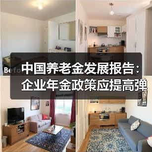 中国养老金发展报告:企业年金政策应提高弹性(图2) 中国养老金发展报告:企业年金政策应提高弹性(图2)