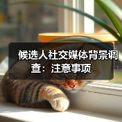 候选人社交媒体背景调查：注意事项（图3）
