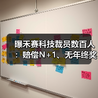 曝禾赛科技裁员数百人：赔偿N+1、无年终奖（图3）