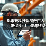 曝禾赛科技裁员数百人：赔偿N+1、无年终奖（图4）