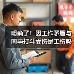 明确了!因工作矛盾与同事打斗受伤是工伤吗?最新入库案例来了!(图4) 明确了!因工作矛盾与同事打斗受伤是工伤吗?最新入库案例来了!(图4)