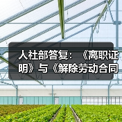 人社部答复:《离职证明》与《解除劳动合同证明书》是否可互相替代?(图2) 人社部答复:《离职证明》与《解除劳动合同证明书》是否可互相替代?(图2)