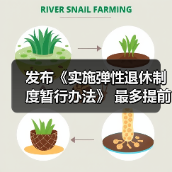 发布《实施弹性退休制度暂行办法》 最多提前或延迟3年(图4) 发布《实施弹性退休制度暂行办法》 最多提前或延迟3年(图4)
