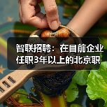 智联招聘:在目前企业任职3年以上的北京职场人超过半数(图1) 智联招聘:在目前企业任职3年以上的北京职场人超过半数(图1)