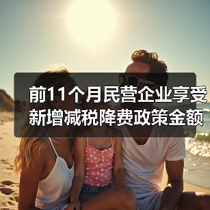前11个月民营企业享受新增减税降费政策金额占比超70%(图2) 前11个月民营企业享受新增减税降费政策金额占比超70%(图2)