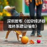 深圳发布《低空经济标准体系建设指南》(图1) 深圳发布《低空经济标准体系建设指南》(图1)
