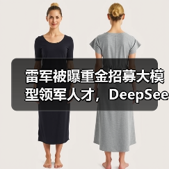 雷军被曝重金招募大模型领军人才,DeepSeek罗福莉将加入(图3) 雷军被曝重金招募大模型领军人才,DeepSeek罗福莉将加入(图3)