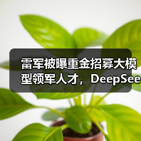 雷军被曝重金招募大模型领军人才,DeepSeek罗福莉将加入(图1) 雷军被曝重金招募大模型领军人才,DeepSeek罗福莉将加入(图1)