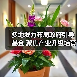 多地发力布局政府引导基金 聚焦产业升级培育新动能(图2) 多地发力布局政府引导基金 聚焦产业升级培育新动能(图2)