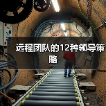 远程团队的12种领导策略(图1) 远程团队的12种领导策略(图1)