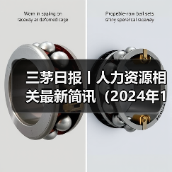三茅日报丨人力资源相关最新简讯（2024年12月25日）（图3）