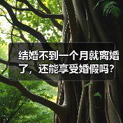 结婚不到一个月就离婚了，还能享受婚假吗？（二审判决）（图2）