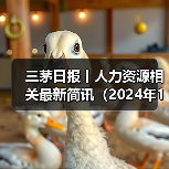 三茅日报丨人力资源相关最新简讯（2024年12月23日）（图4）