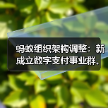 蚂蚁组织架构调整：新成立数字支付事业群、支付宝事业群，实行轮值总裁制（图2）