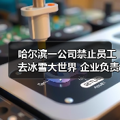 哈尔滨一公司禁止员工去冰雪大世界 企业负责人回应：属实（图4）