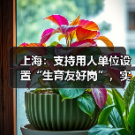 上海：支持用人单位设置“生育友好岗”，实行弹性工作制（图2）