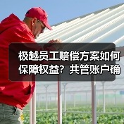 极越员工赔偿方案如何保障权益？共管账户确保N+1发放（图3）
