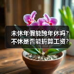 未休年假能跨年休吗?不休是否能折算工资?(图3) 未休年假能跨年休吗?不休是否能折算工资?(图3)