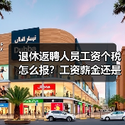 退休返聘人员工资个税怎么报?工资薪金还是劳务报酬?(图2) 退休返聘人员工资个税怎么报?工资薪金还是劳务报酬?(图2)