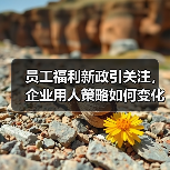 员工福利新政引关注,企业用人策略如何变化?(图2) 员工福利新政引关注,企业用人策略如何变化?(图2)