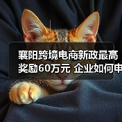 襄阳跨境电商新政最高奖励60万元 企业如何申请?(图1) 襄阳跨境电商新政最高奖励60万元 企业如何申请?(图1)