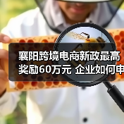 襄阳跨境电商新政最高奖励60万元 企业如何申请?(图4) 襄阳跨境电商新政最高奖励60万元 企业如何申请?(图4)