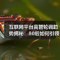 互联网平台高管轮调趋势揭秘：80后如何引领转型升级？（图1）
