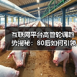 互联网平台高管轮调趋势揭秘：80后如何引领转型升级？（图4）