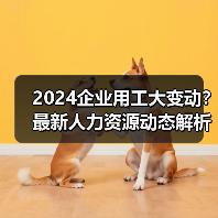 2024企业用工大变动？最新人力资源动态解析（图2）