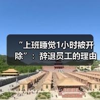 “上班睡觉1小时被开除”：辞退员工的理由越来越离谱了！（图4）