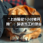 “上班睡觉1小时被开除”：辞退员工的理由越来越离谱了！（图1）