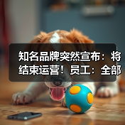 知名品牌突然宣布:将结束运营!员工:全部业务已停止(图4) 知名品牌突然宣布:将结束运营!员工:全部业务已停止(图4)