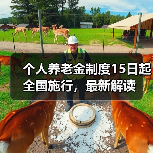 个人养老金制度15日起全国施行,最新解读(图2) 个人养老金制度15日起全国施行,最新解读(图2)