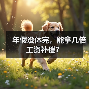 年假没休完，能拿几倍工资补偿？（图2）