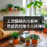 工资强制执行案中，公司能否扣除个人所得税？（图2）