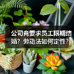 公司竟要求员工限期结婚？劳动法如何定性？（图1）