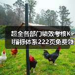超全各部门绩效考核KPI指标体系222页免费领（图1）