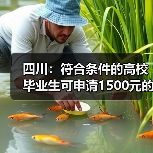 四川:符合条件的高校毕业生可申请1500元的一次性求职补贴(图1) 四川:符合条件的高校毕业生可申请1500元的一次性求职补贴(图1)