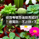 绩效考核垫底能否解约?最高院:不达标≠不能胜任(图2) 绩效考核垫底能否解约?最高院:不达标≠不能胜任(图2)