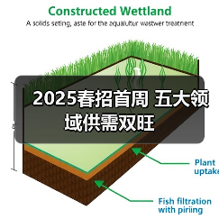 2025春招首周 五大领域供需双旺(图4) 2025春招首周 五大领域供需双旺(图4)