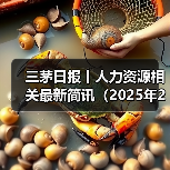 三茅日报丨人力资源相关最新简讯(2025年2月11日)(图4) 三茅日报丨人力资源相关最新简讯(2025年2月11日)(图4)