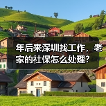 年后来深圳找工作,老家的社保怎么处理?(图3) 年后来深圳找工作,老家的社保怎么处理?(图3)