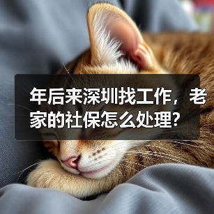 年后来深圳找工作,老家的社保怎么处理?(图2) 年后来深圳找工作,老家的社保怎么处理?(图2)